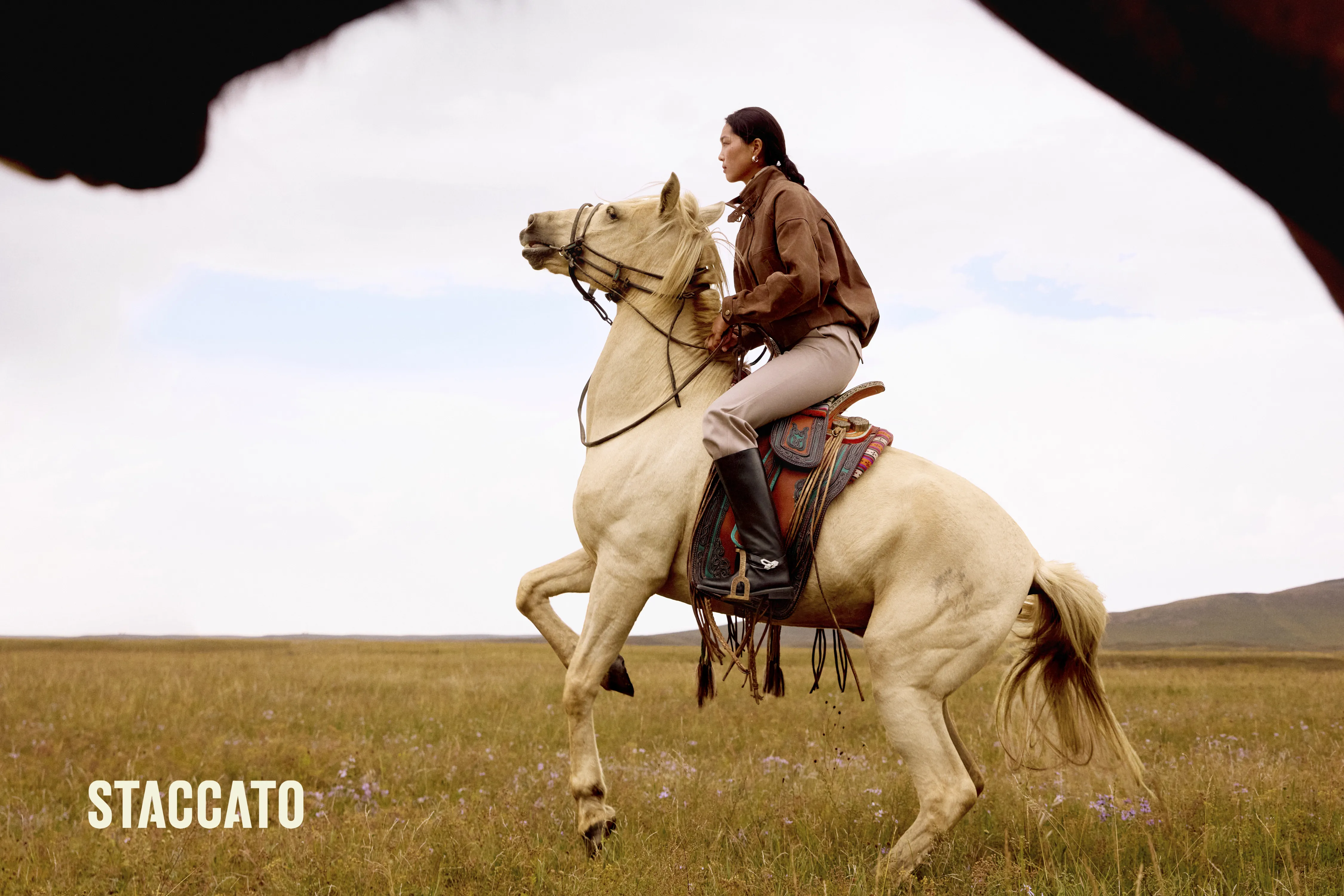 STACCATO KNIGHT BOOT COLLECTION CAMPAIGN IMAGE