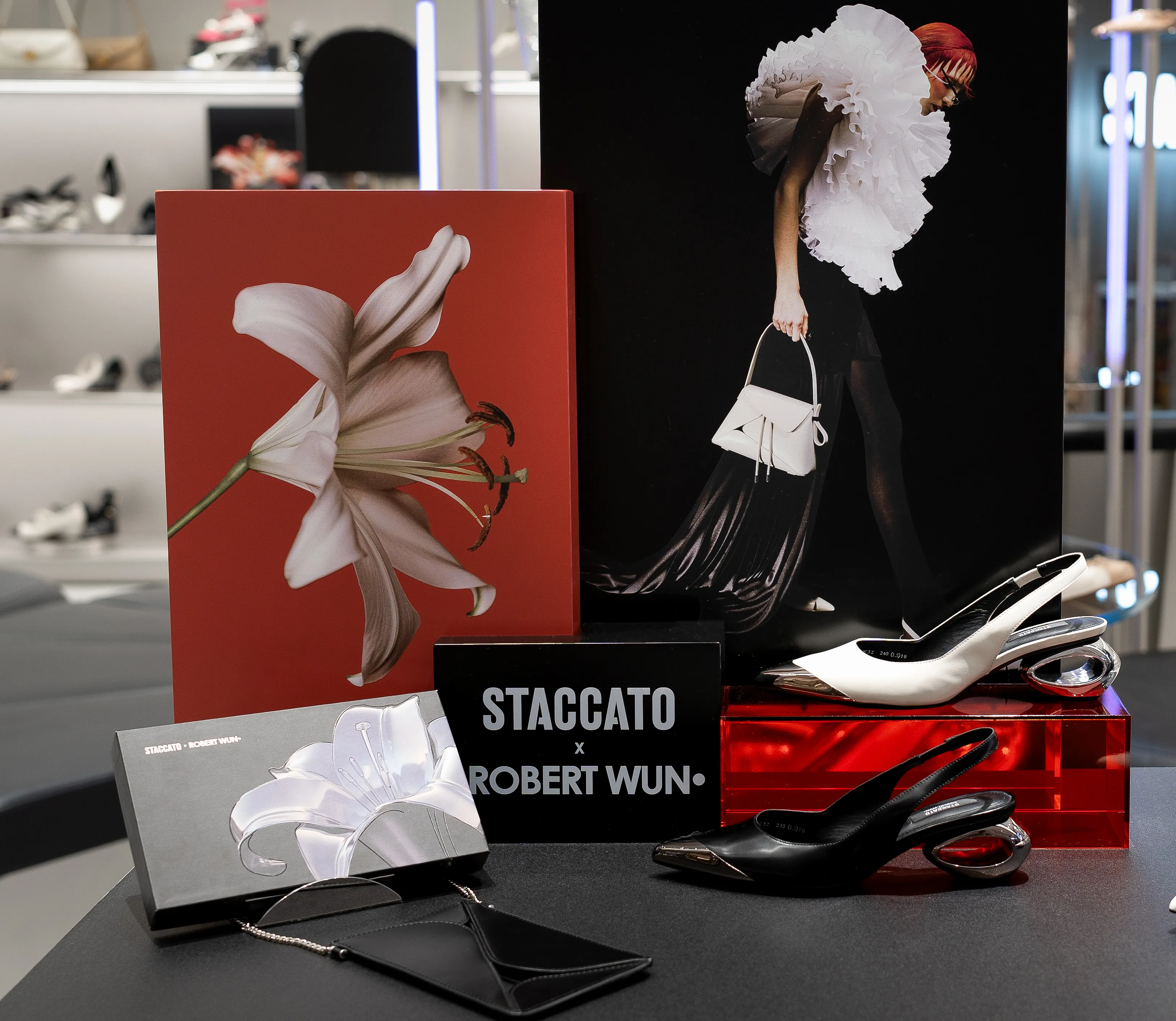 STACCATO X ROBERT WUN CAPSULE COLLECTION