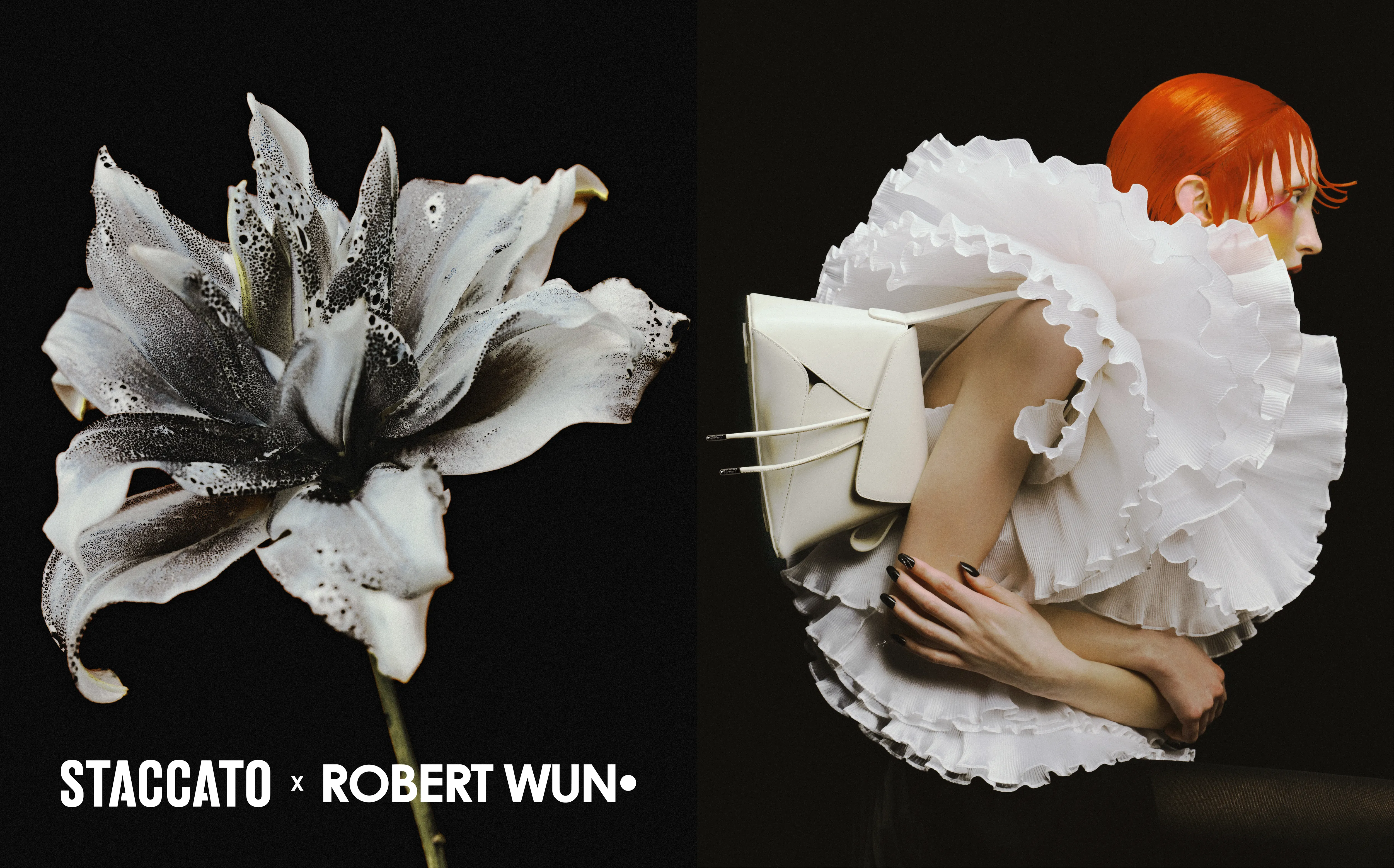 STACCATO X ROBERT WUN CAPSULE COLLECTION