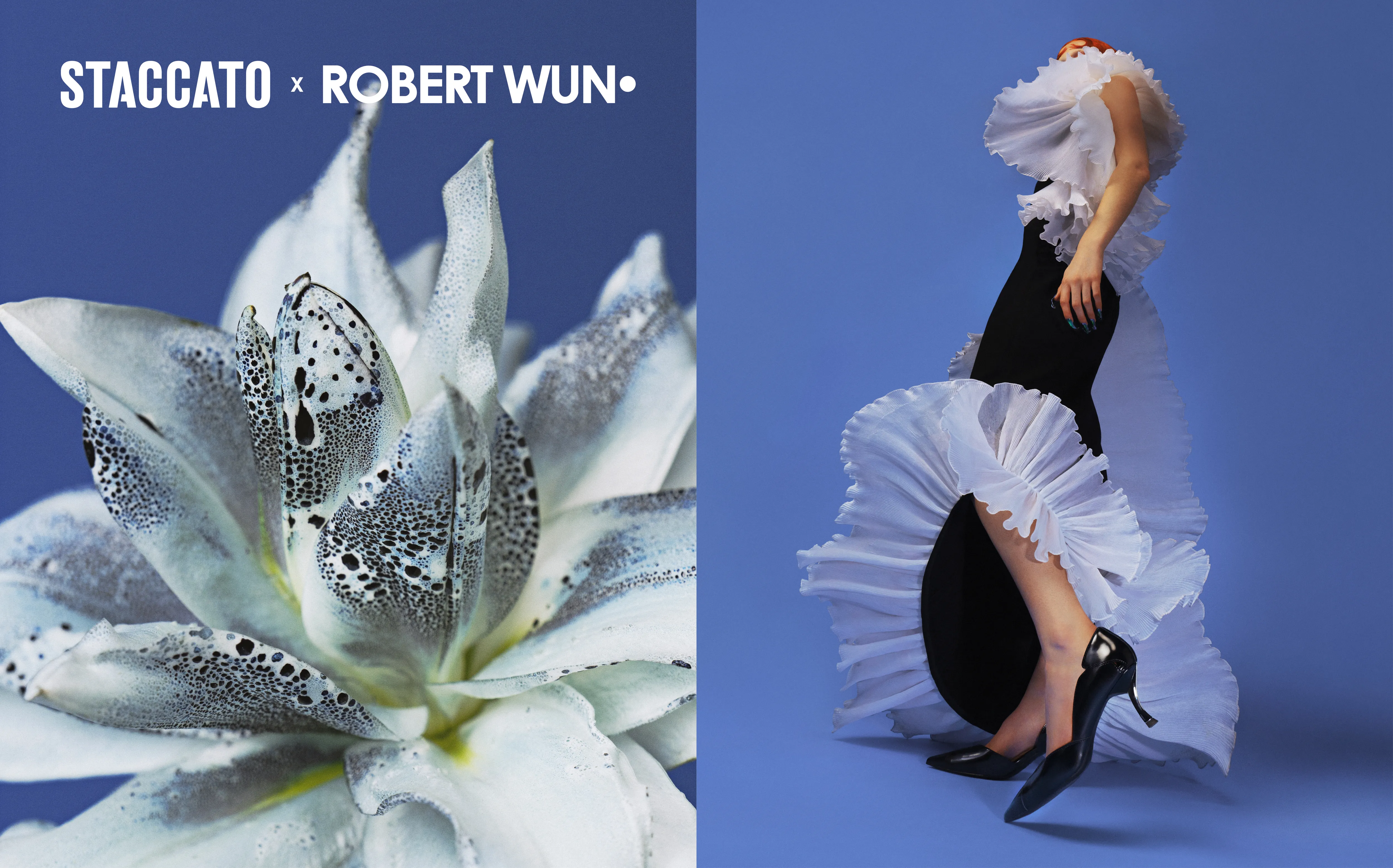 STACCATO X ROBERT WUN CAPSULE COLLECTION