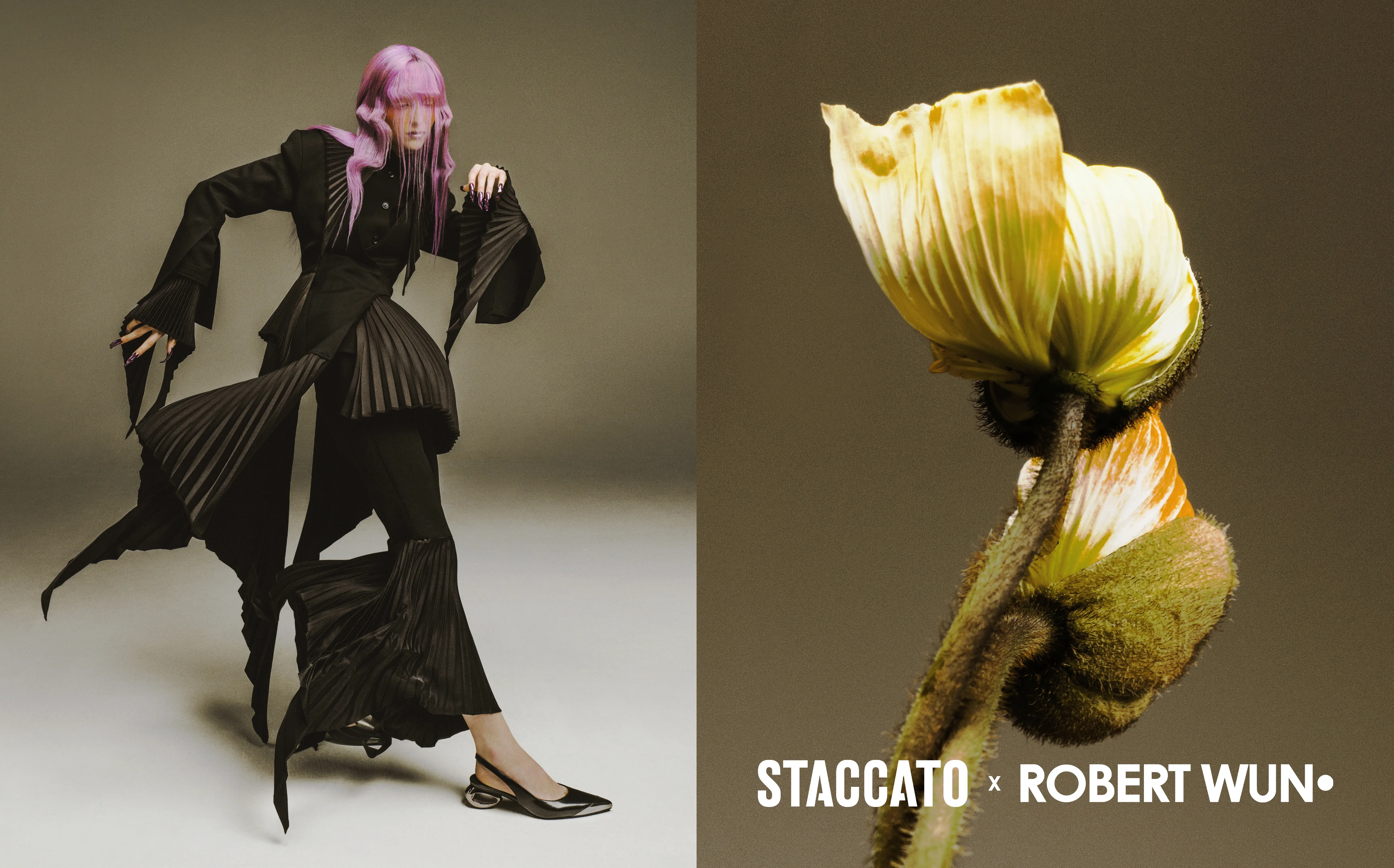 STACCATO X ROBERT WUN CAPSULE COLLECTION
