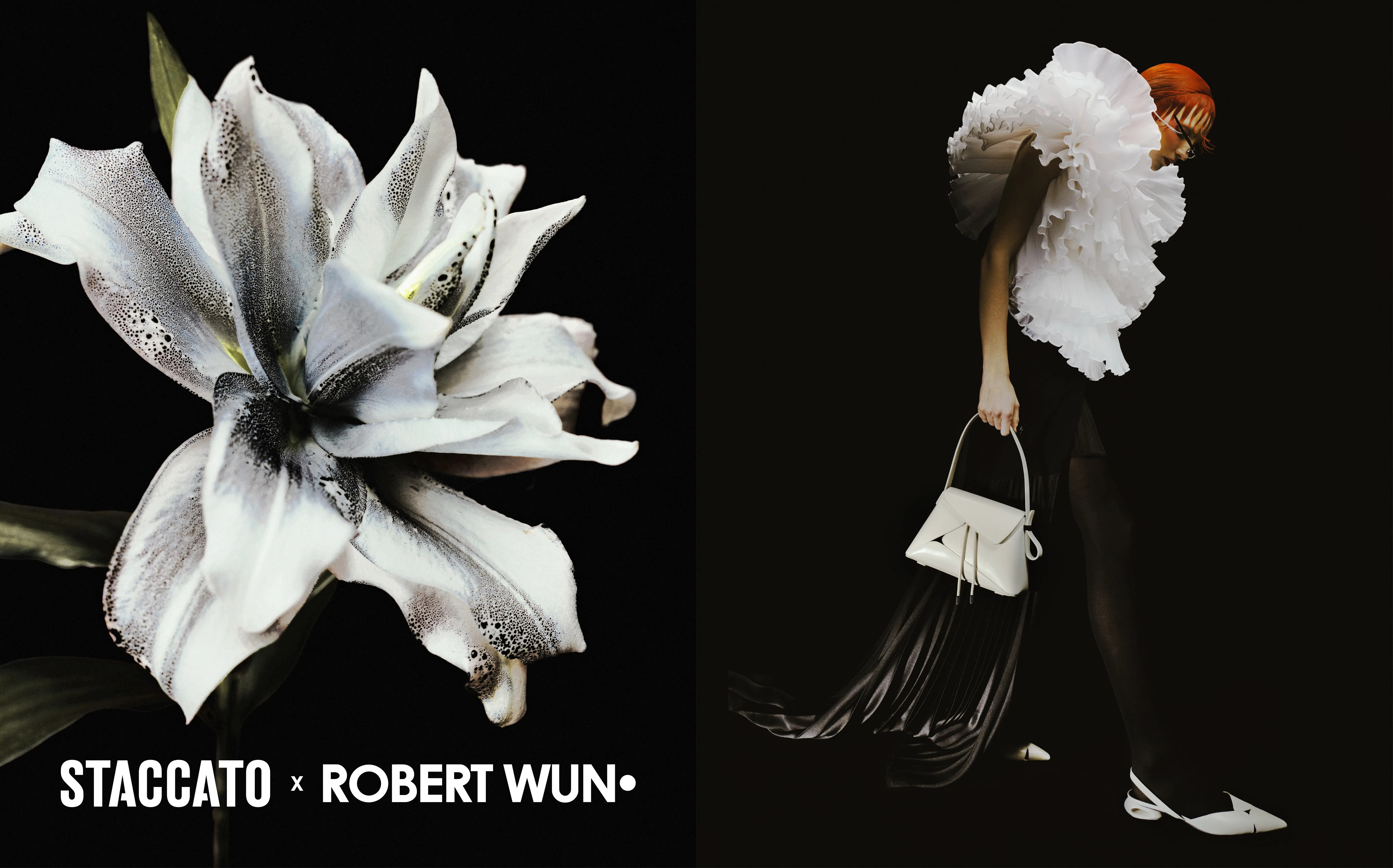 STACCATO X ROBERT WUN CAPSULE COLLECTION
