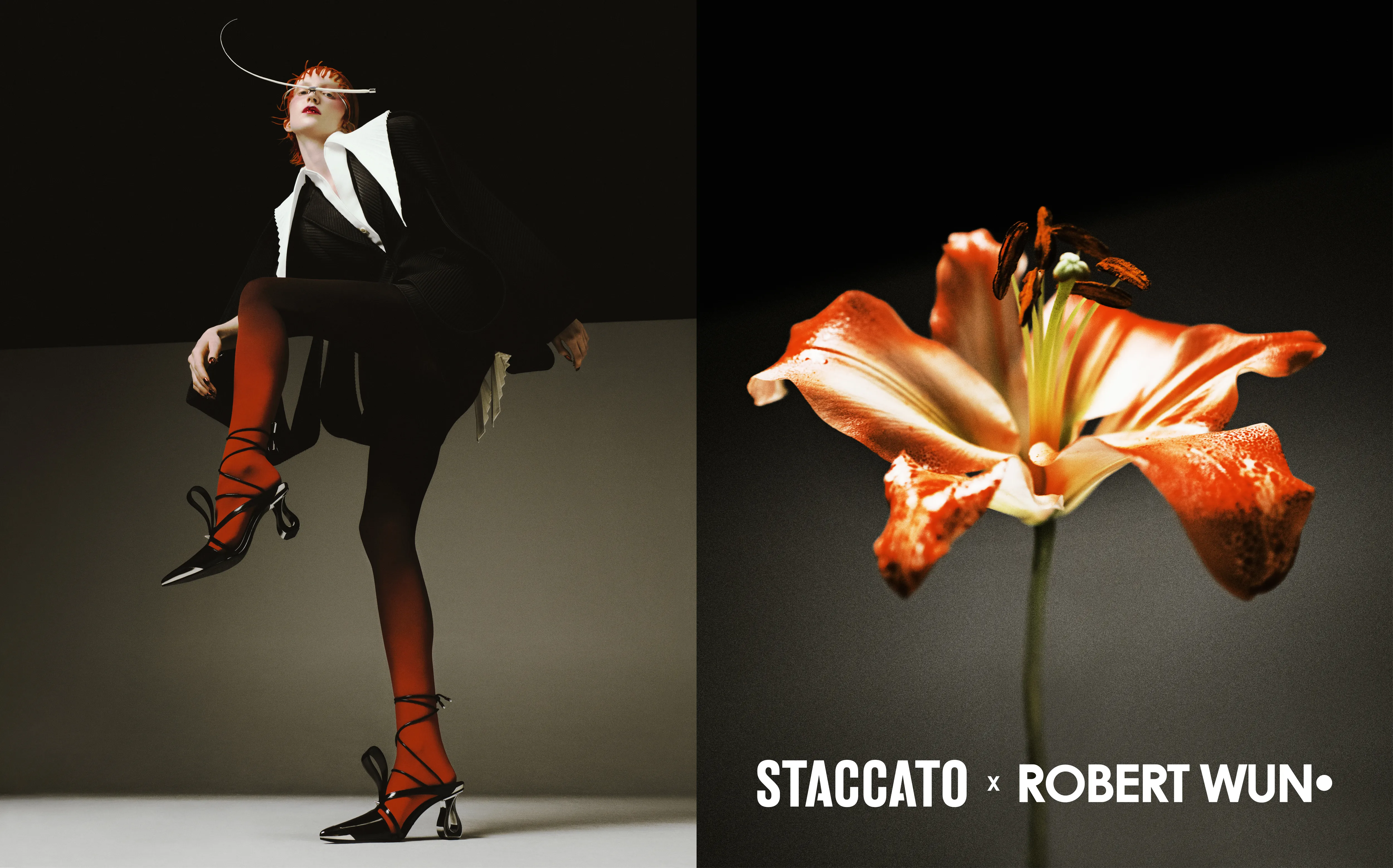 STACCATO X ROBERT WUN CAPSULE COLLECTION