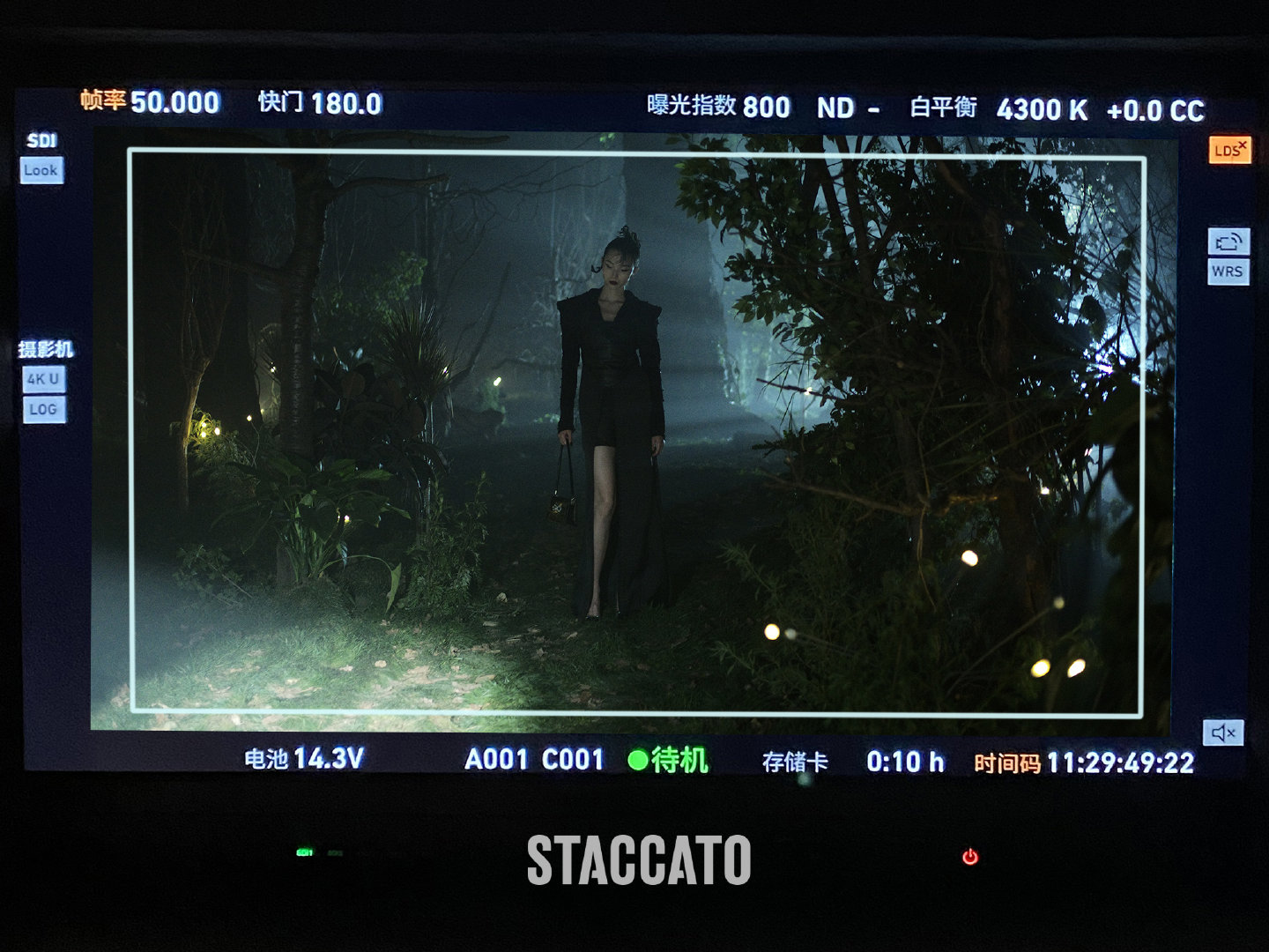 STACCATO FW 2021 CAMPAIGN