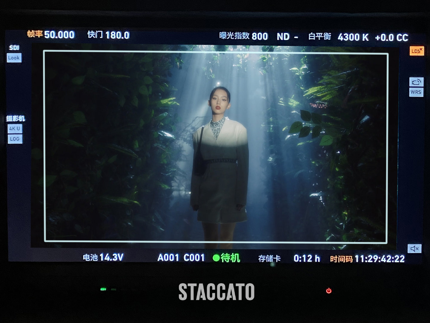 STACCATO FW 2021 CAMPAIGN