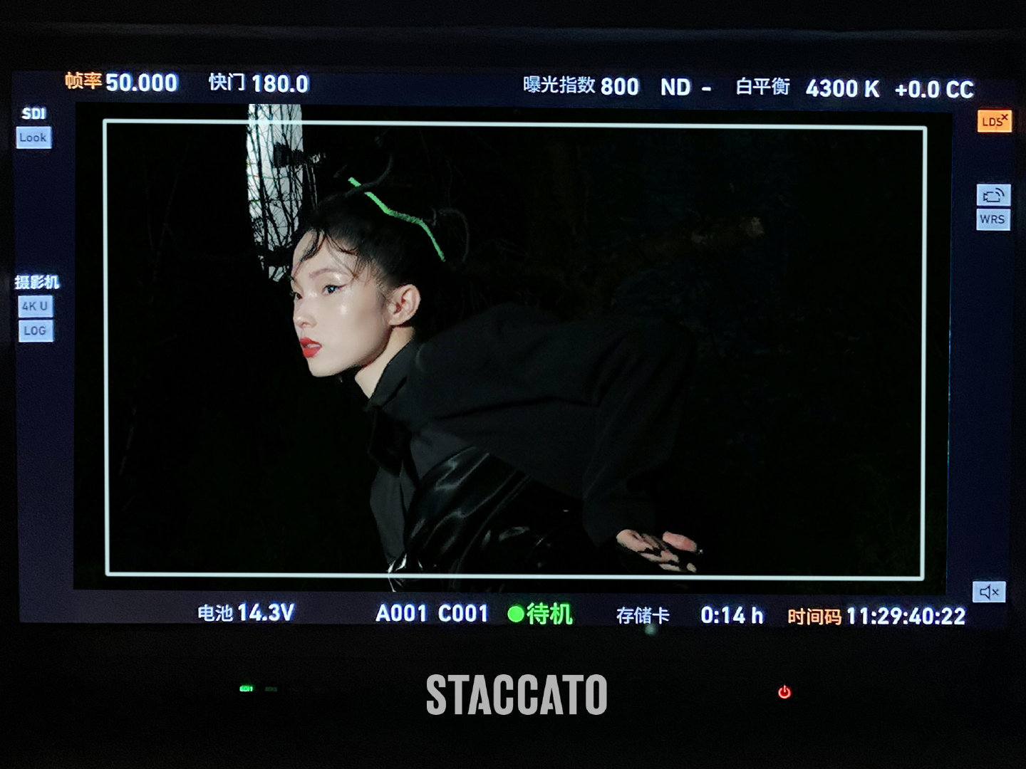 STACCATO FW 2021 CAMPAIGN